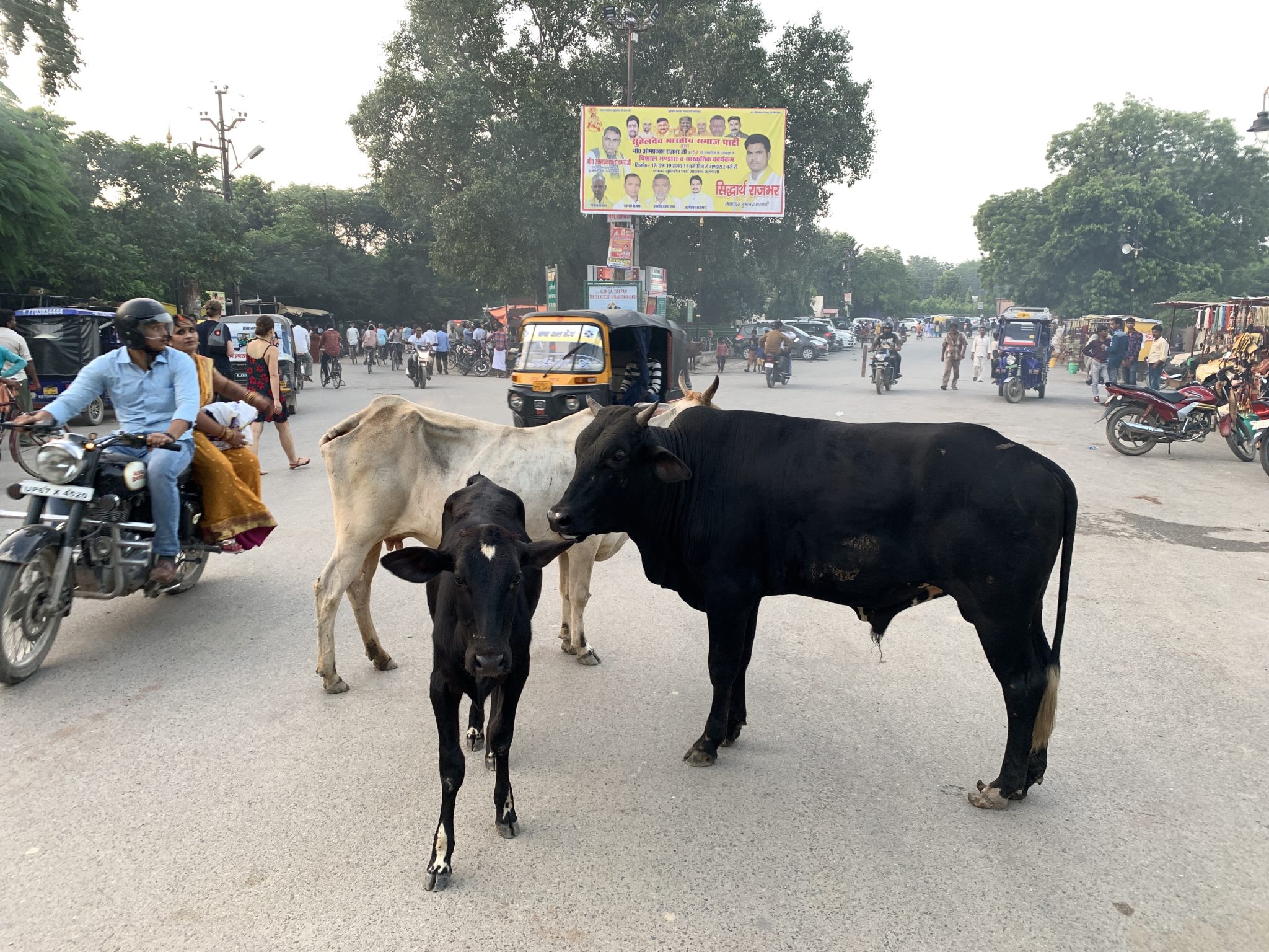 India, kravy