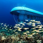 Atlantis Submarine na Kajmanských ostrovoch