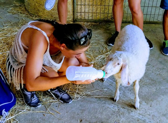 Cyprus, biofarma, Grécko