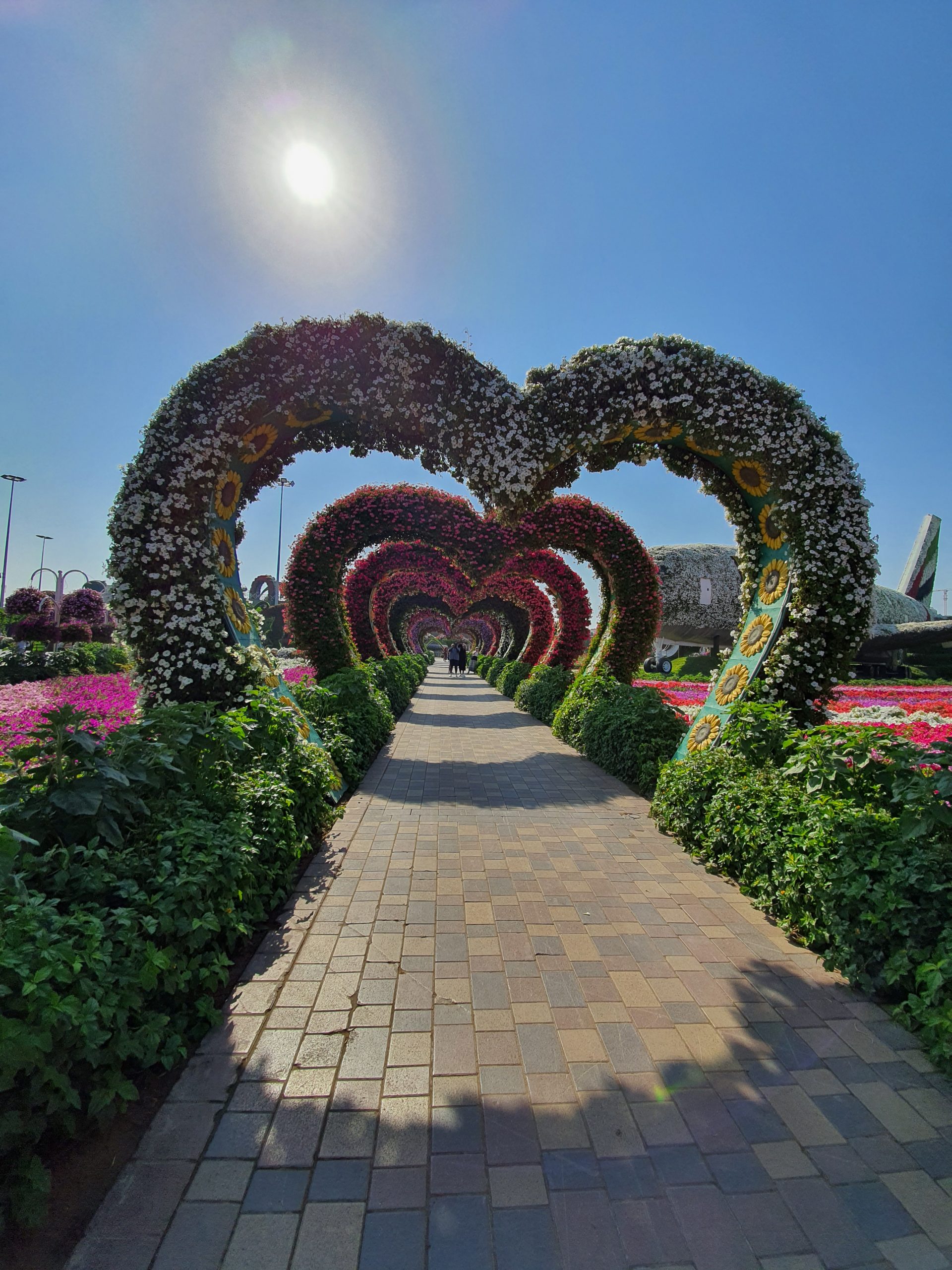Miracle Garden, Dubaj