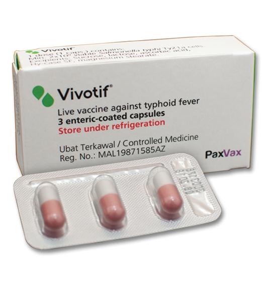 vivotif, brušný týfus