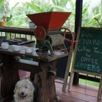Coffee tour_Kolumbia