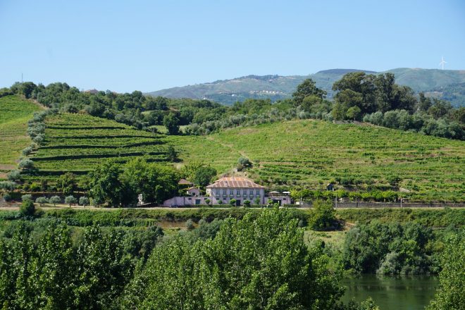 douro valley, portugalsko