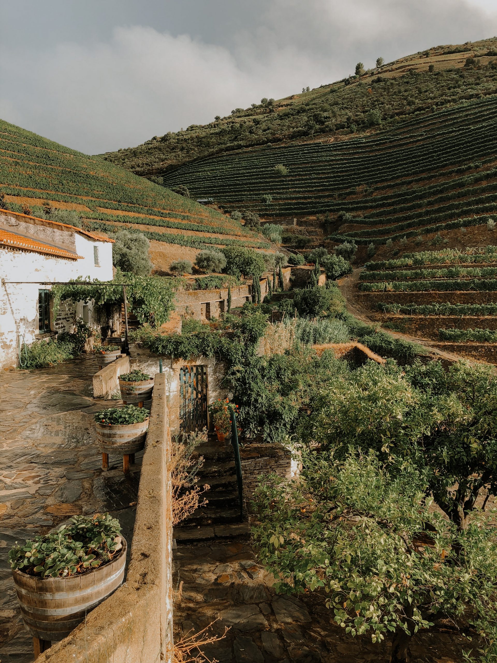 douro valley, portugalsko