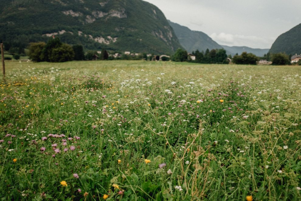 Slovinsko_Bohinj