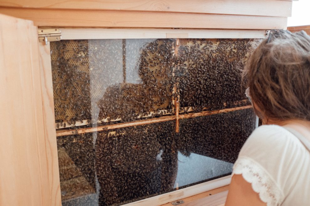 Slovinsko_vcelarske muzeum