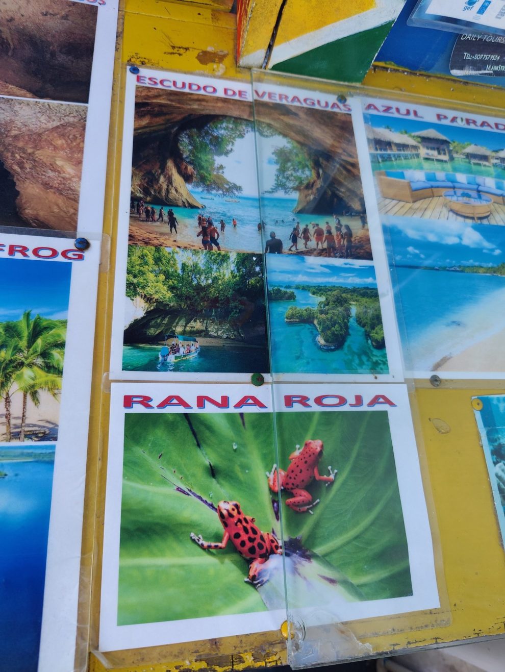 Bocas del Toro