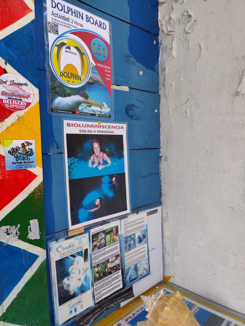 Bocas del Toro