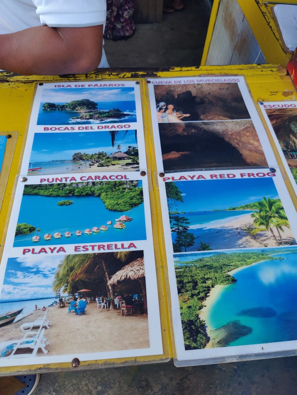 Bocas_aktivity