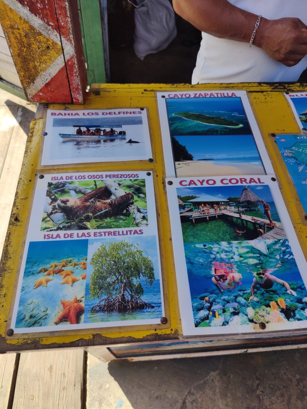 Bocas_aktivity