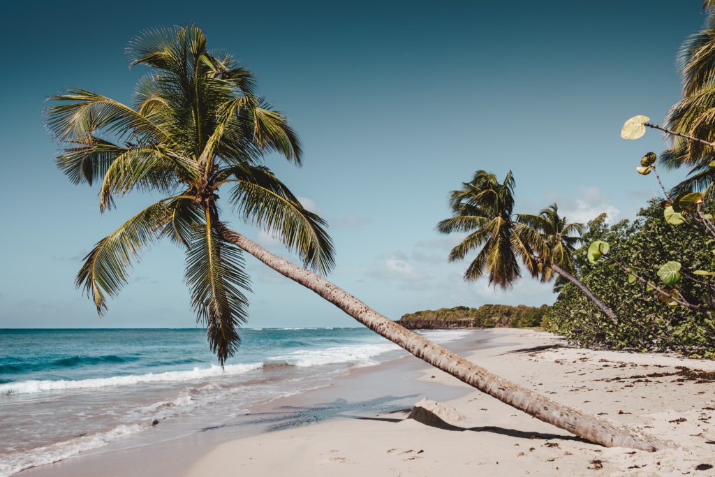 Martinique, exotic vacation