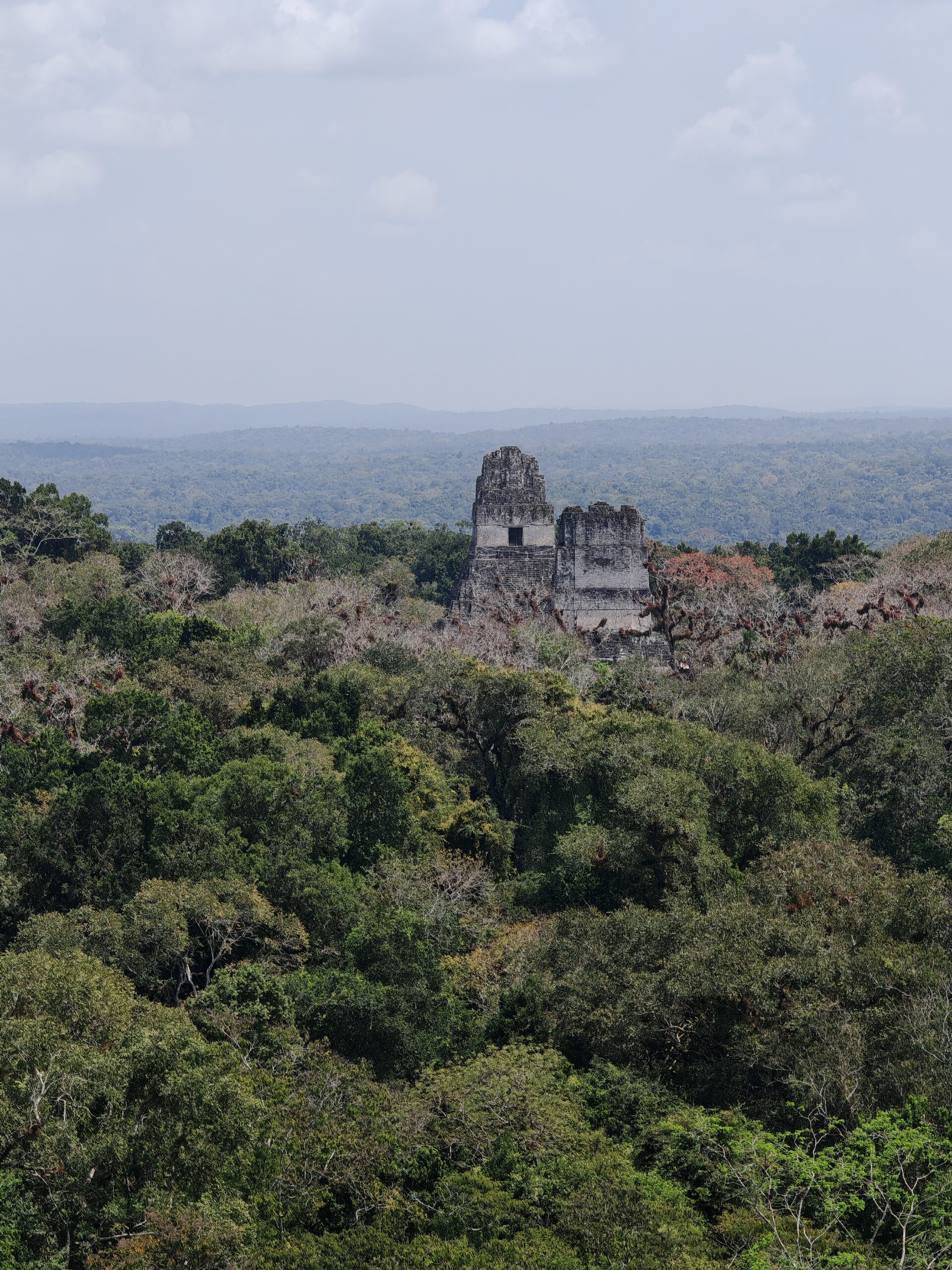 Tikal, Guatemala