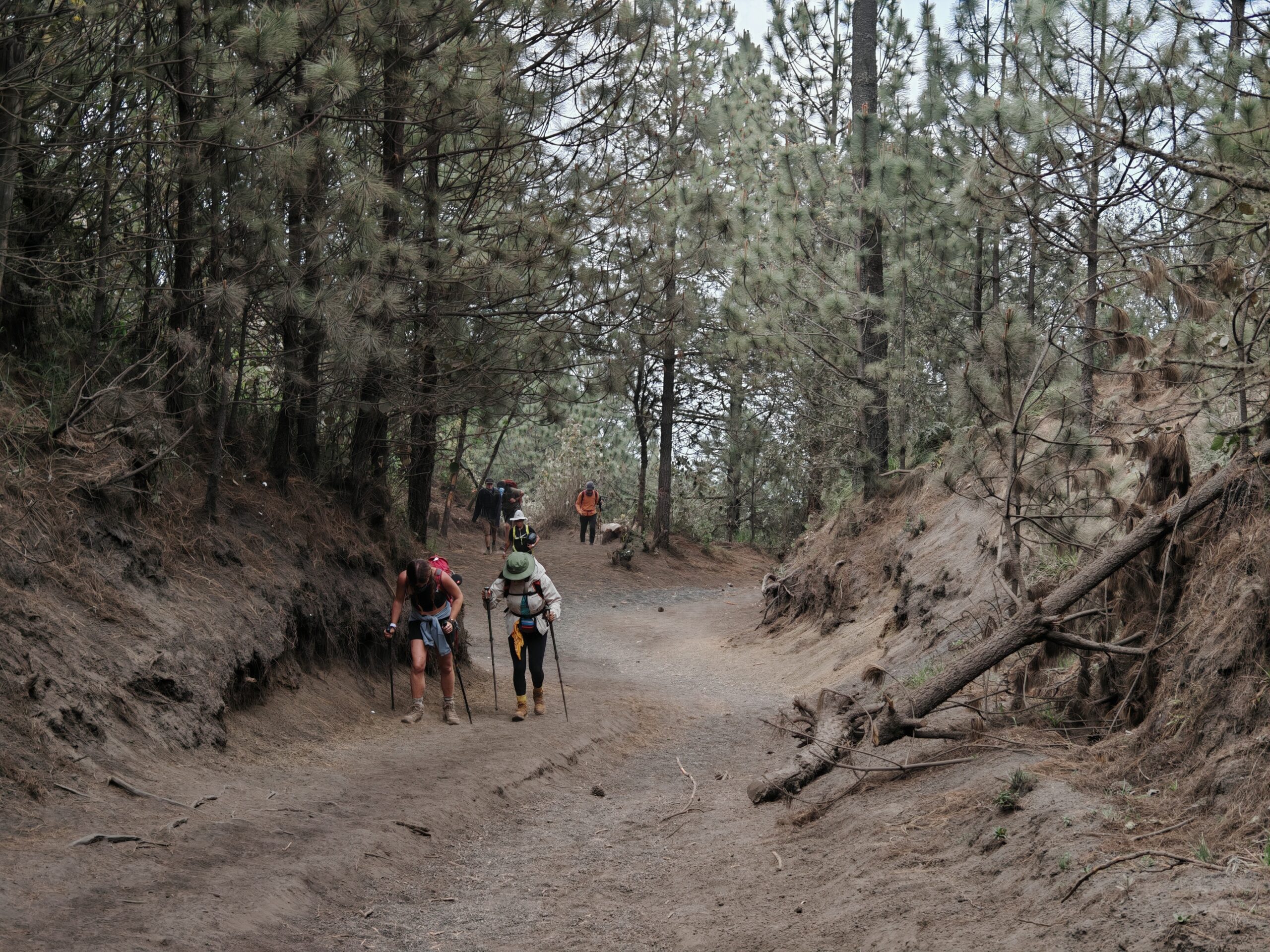 Guatemala, trek na vulkan