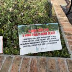 britske panenske ostrovy