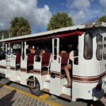 britske panenske ostrovy