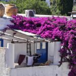 liparske ostrovy_panarea